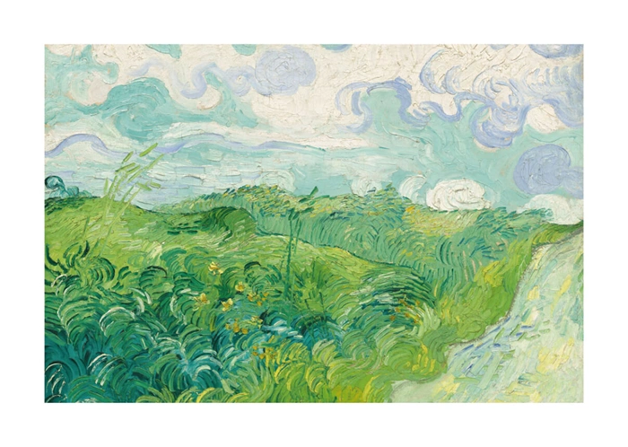 Zielone pola pszenicy