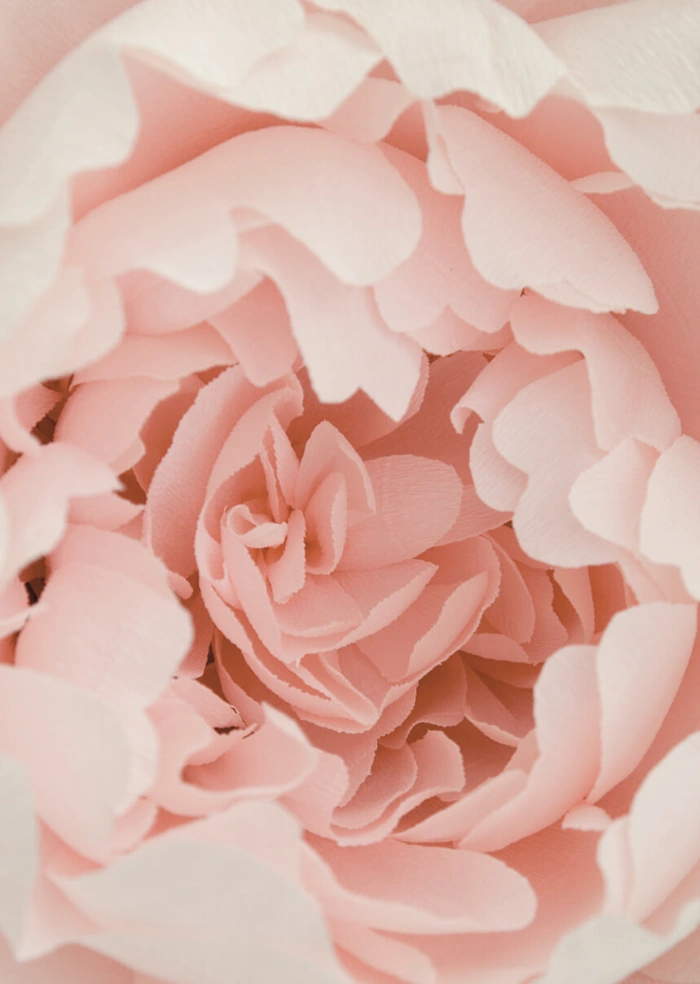 Pink paper flower