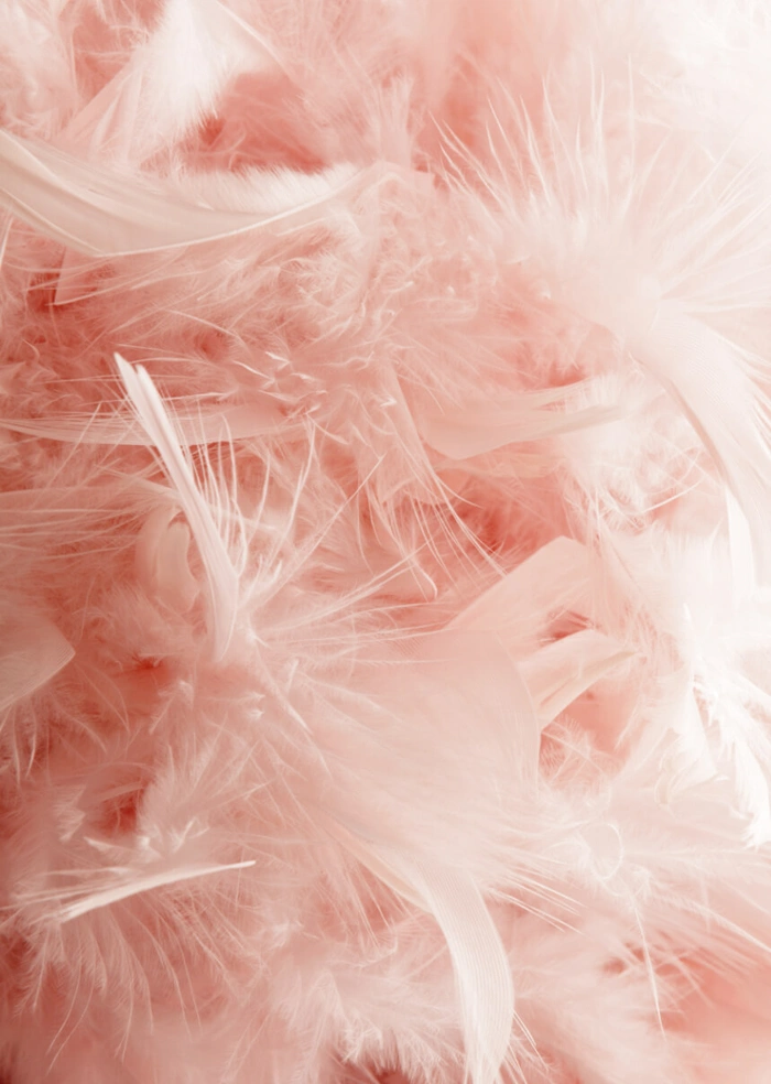Różowe pióra