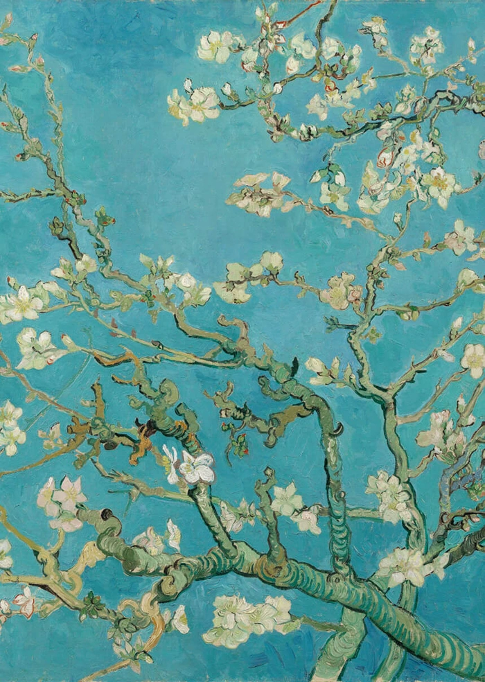 Kwitnący migdałowiec