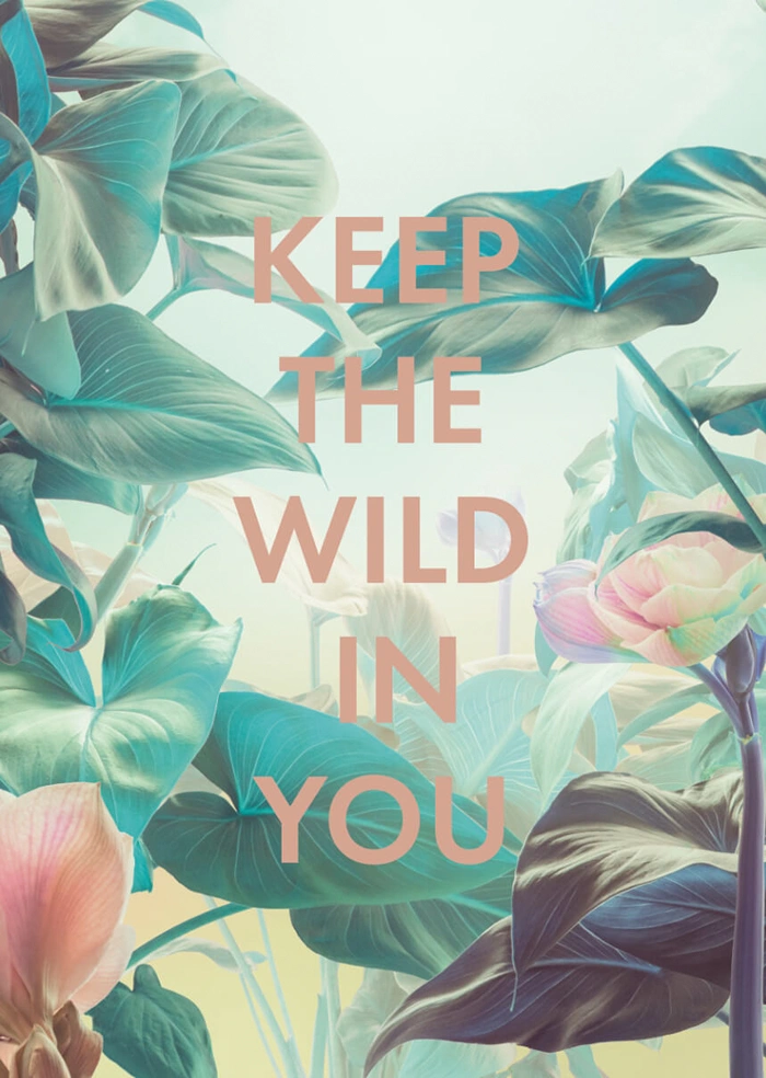 Wild in you