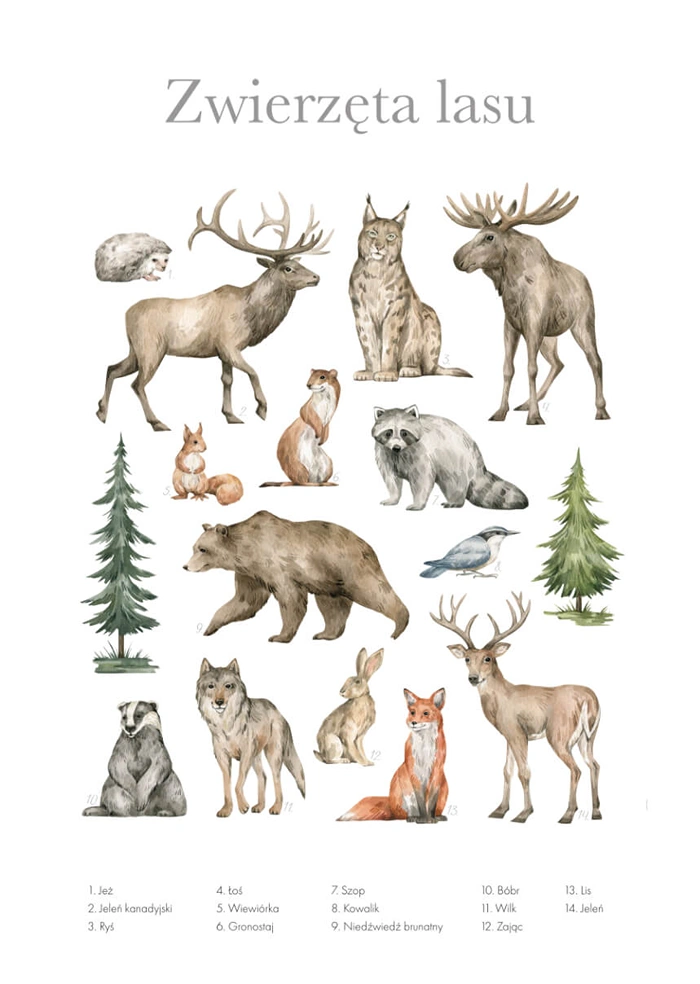 Zwierzęta lasu