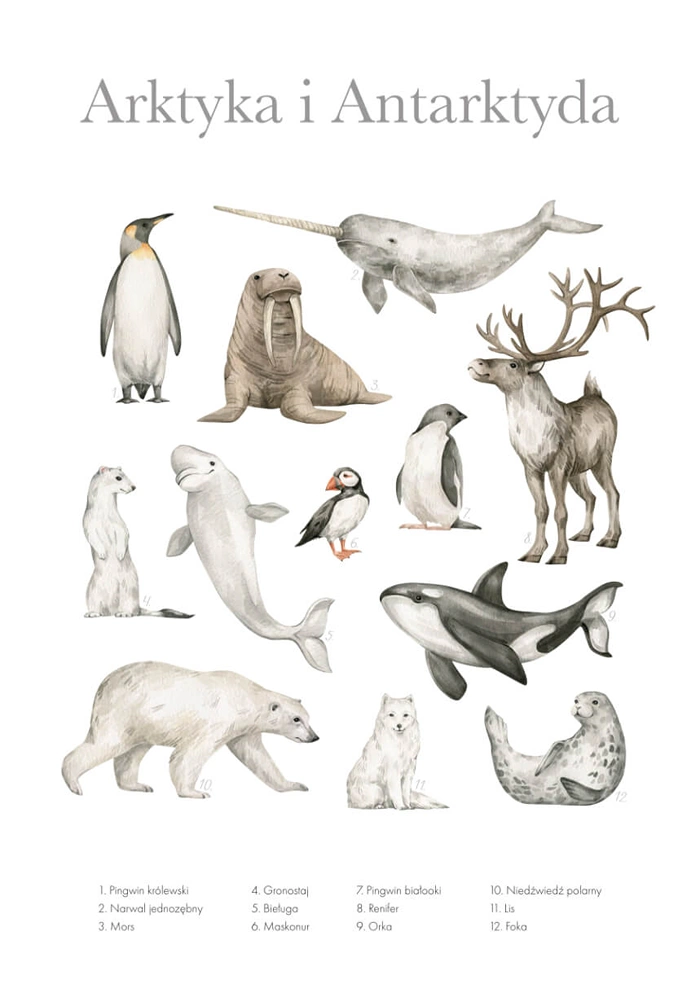 Arktyka i Antarktyda