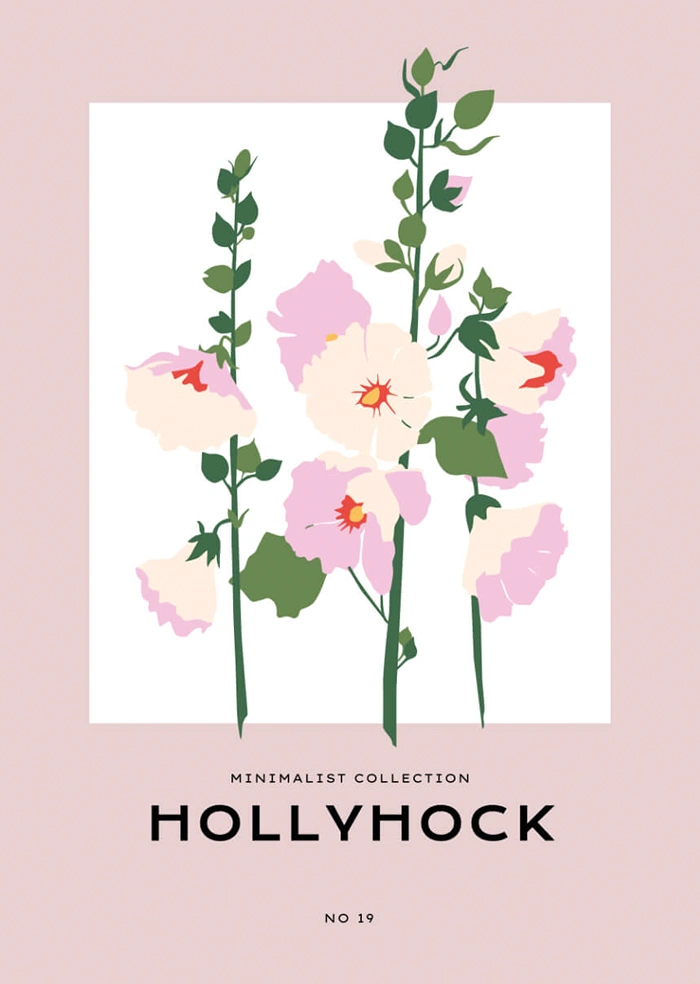 Hollyhock