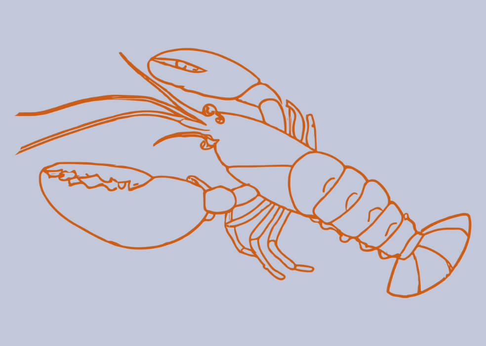 Lobster