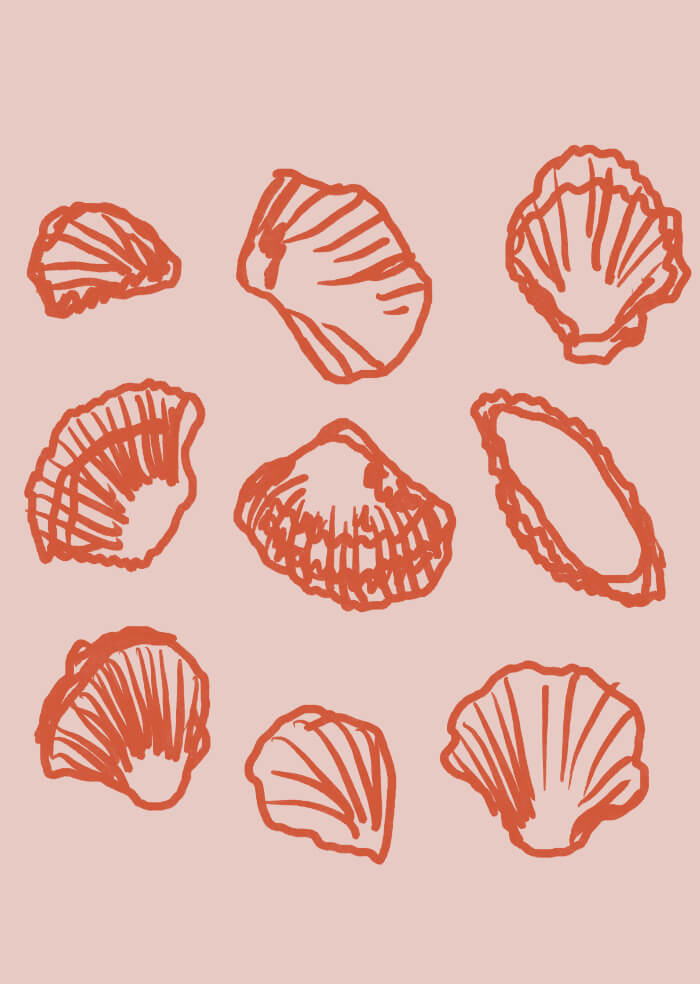 Shells