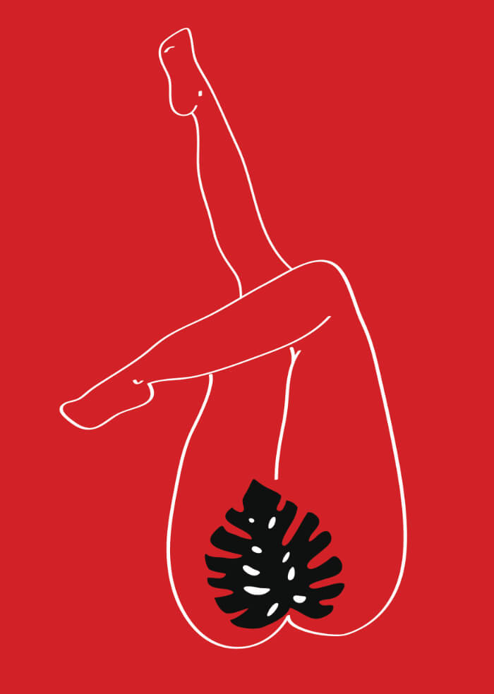 La flor de mi secreto