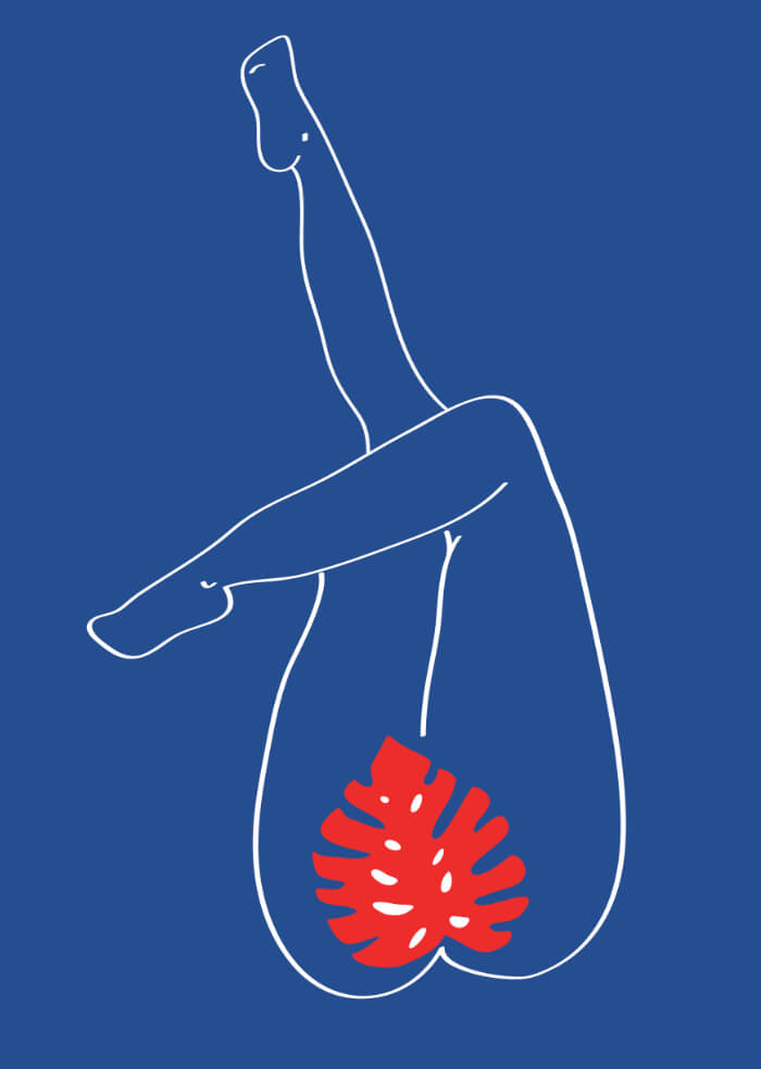 La flor de mi secreto