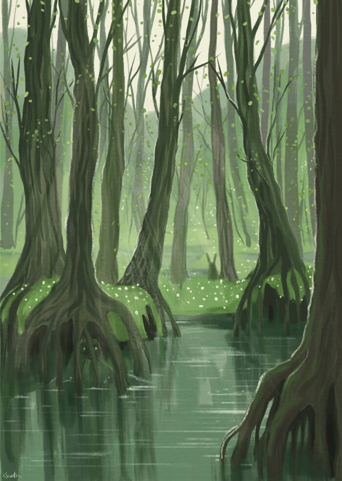 Kwiecień na bagnach